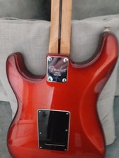 Custom Built Califonia Fender